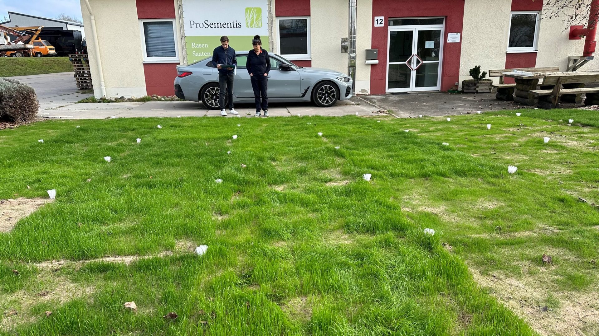 Rasen Testflaeche