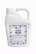 Magnum Recoil