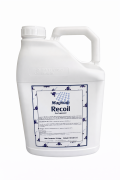 Magnum Recoil