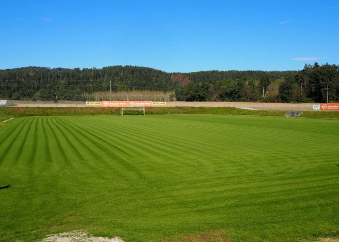 Sportrasen auf einem Spielfeld in Klagenfurt